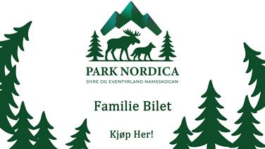 Image for: Familiebillett